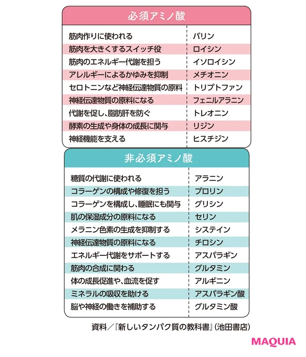 必須アミノ酸&非必須アミノ酸の種類