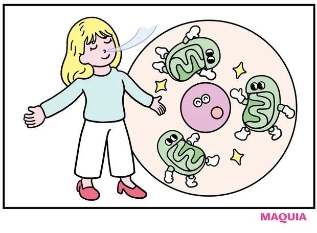 酸素が美肌に大事な理由って？ 活性酸素を恐れるよりも、きちんと酸素を取り込むことが重要！
_5