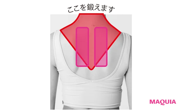 ここを鍛えます