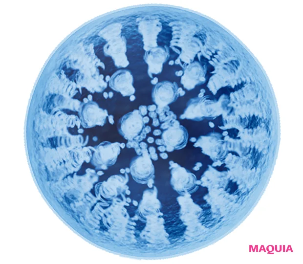 〈イメージ〉 パンテノールB5