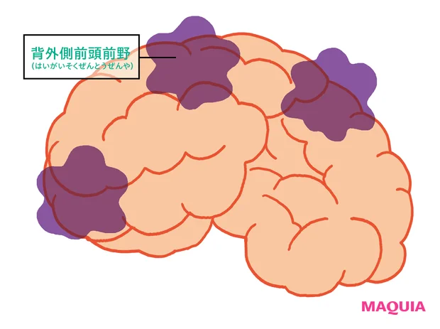 ネット漬けの人は必読！ 脳疲労が起きた時、脳内ではこんなことが起こっている_2