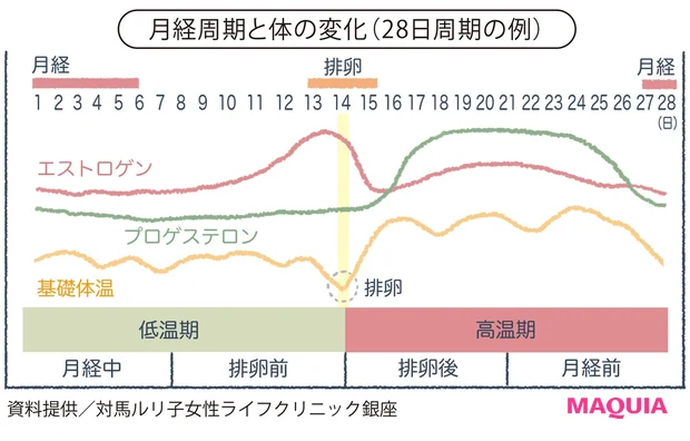 月経周期と体の変化(28日周期の例)