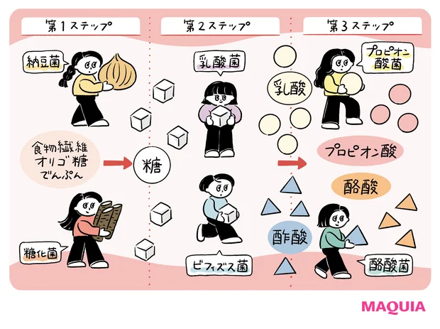 いま押さえるべき腸活ワード「発酵性食物繊維」「菌のリレー」を解説。目指すは、腸からキレイ!