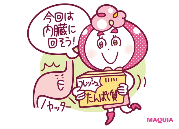 今回は内臓に回そう!