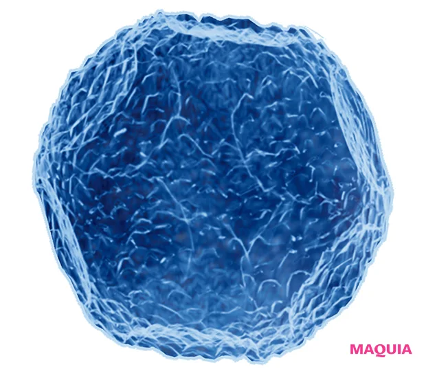 〈イメージ〉 CICA成分
