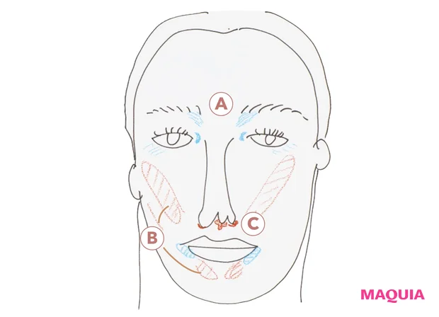 面長タイプのイラスト