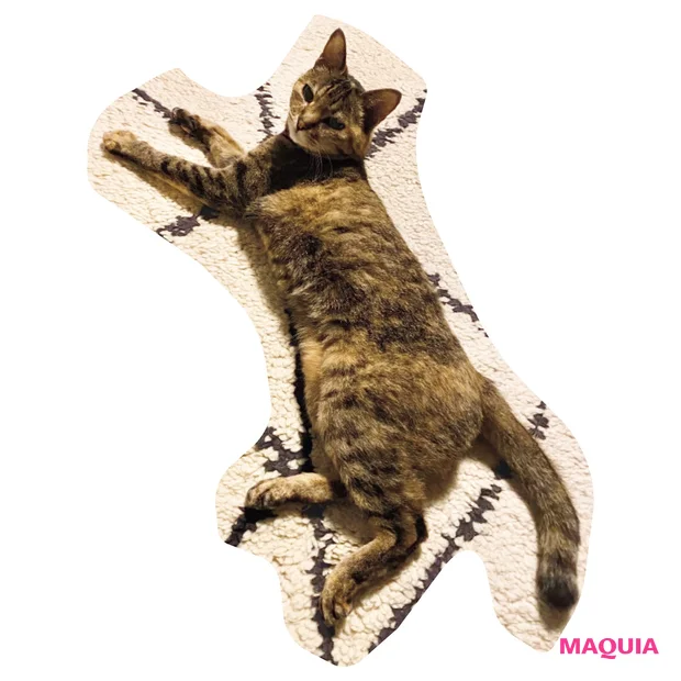 愛猫との時間を優先