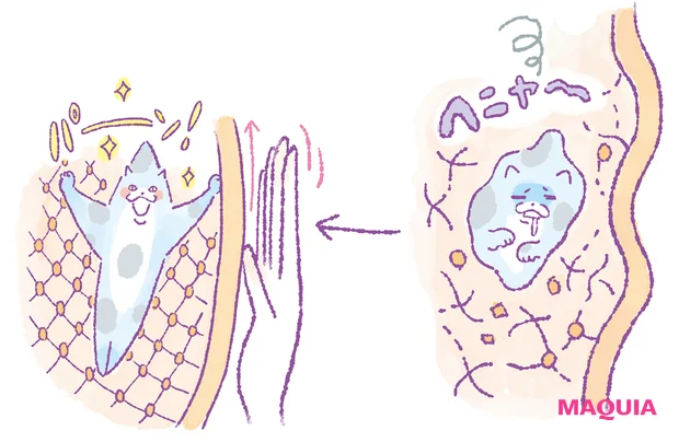 線維芽細胞が活性化