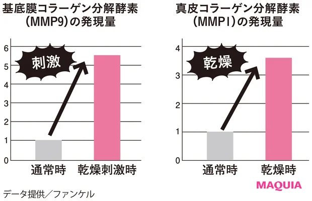 真皮コラーゲン分解酵素(MMP1)の発現量/基底膜コラーゲン分解酵素(MMP9)の発現量