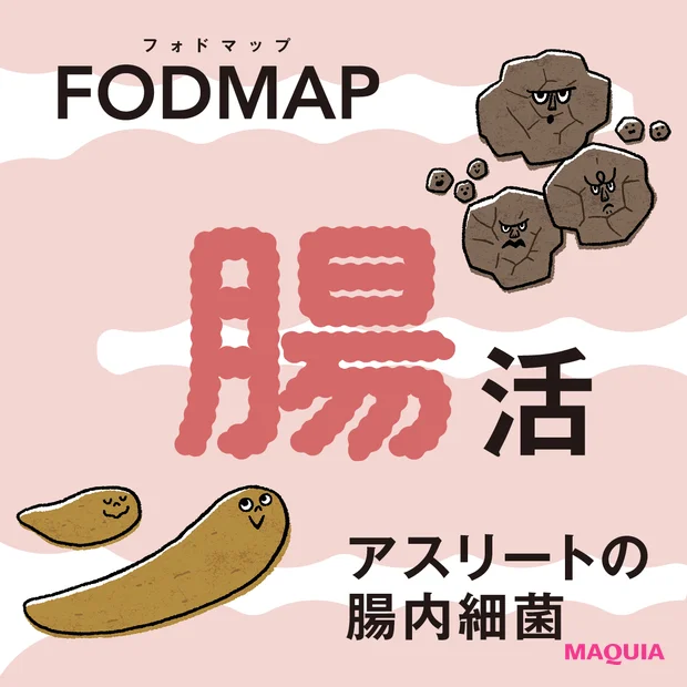 【腸活まとめ】FODMAP・うんちチェック・腸のカビまで!知っておきたい最新トピックス