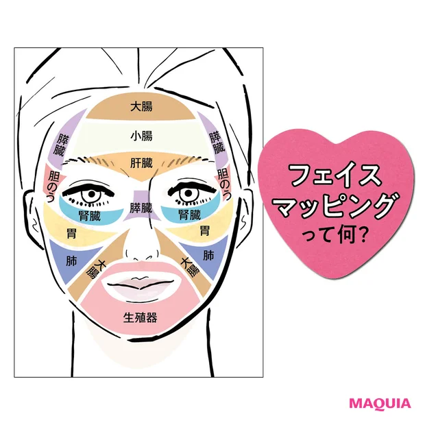 顔に隠された“２つの地図”とは？「フェイスマッピング」で肌トラブル対策＆…