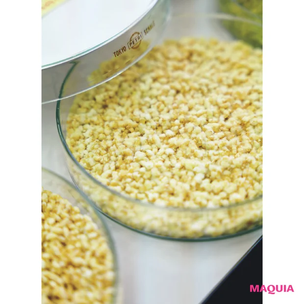 マキア 11月号付録 ローションエサンシエルA＜化粧水＞ プレシャス米