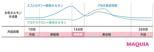 生理周期のリズムで変わる体、心、肌の調子