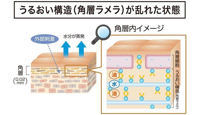 コーセー マルホ ファーマ