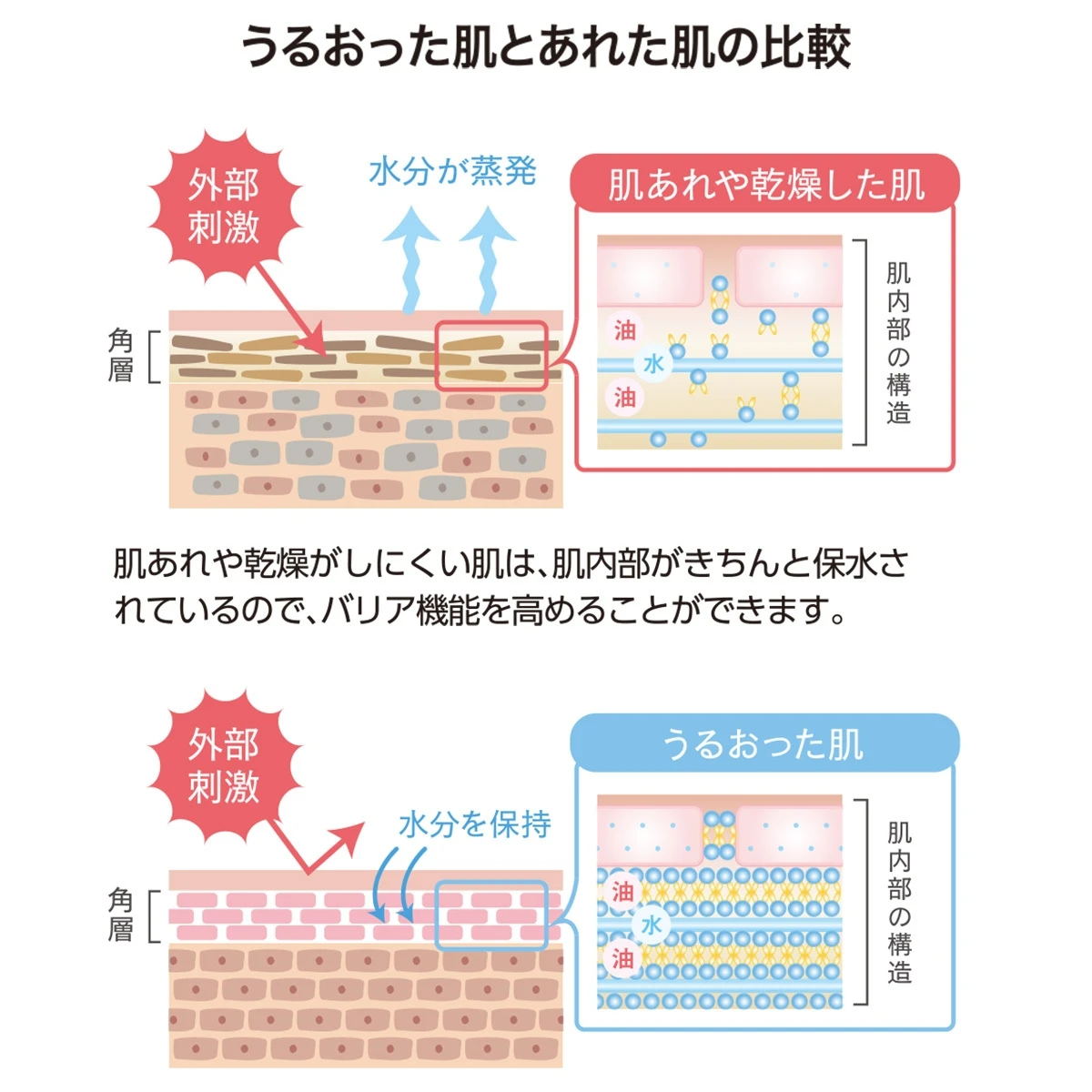 うるおった肌とあれた肌の比較