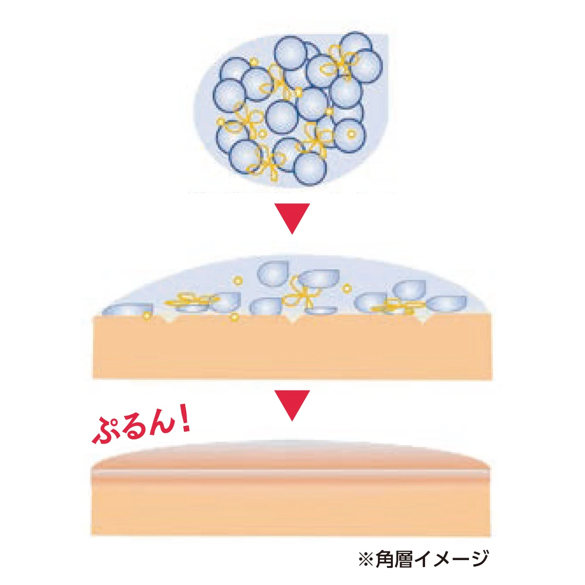 美肌に欠かせないキー成分「浸透美容アミノ酸※1」を配合して進化。新アクアレーベルのオールインワンで、毎日頑張る肌にご褒美エステ _8