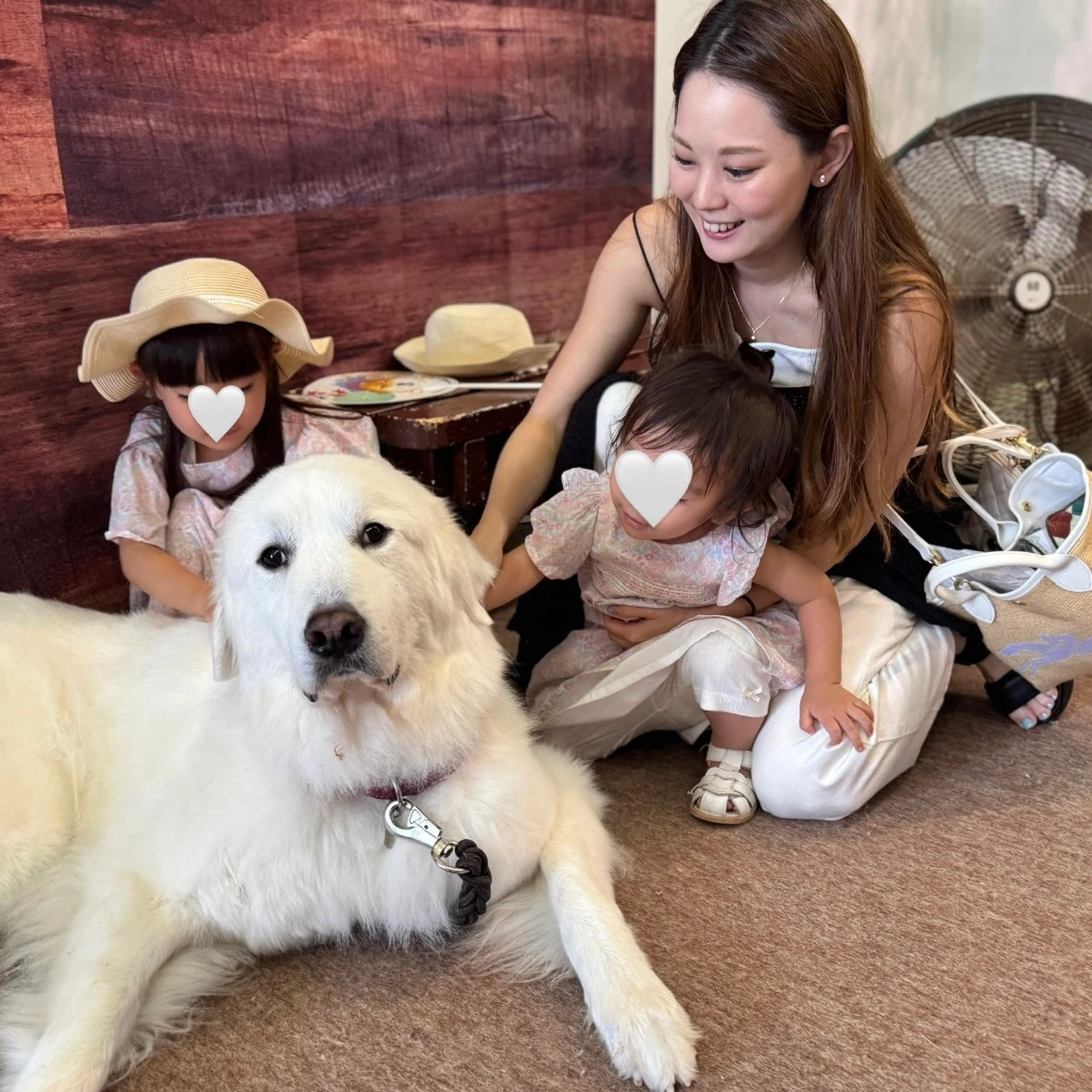 【SIXPAD for Women】「はくだけゆるみケア」を叶える骨盤底筋ガードル_7