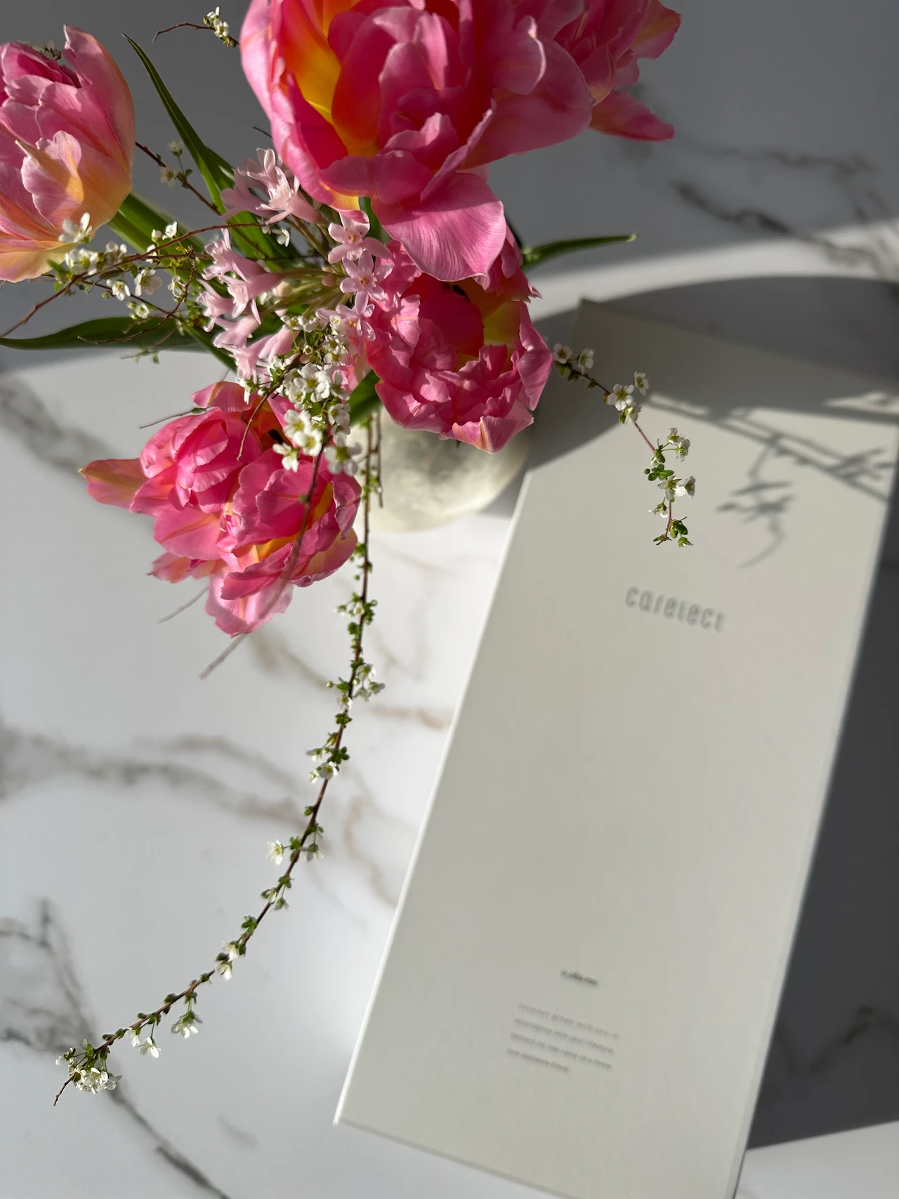 サロン帰りのような髪に♡【ケアレクト by プリュスオー】スムースケアアイロン_2