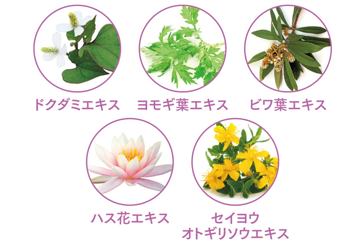 エレクトロン モイスチャー ステムローション 植物幹細胞エキス