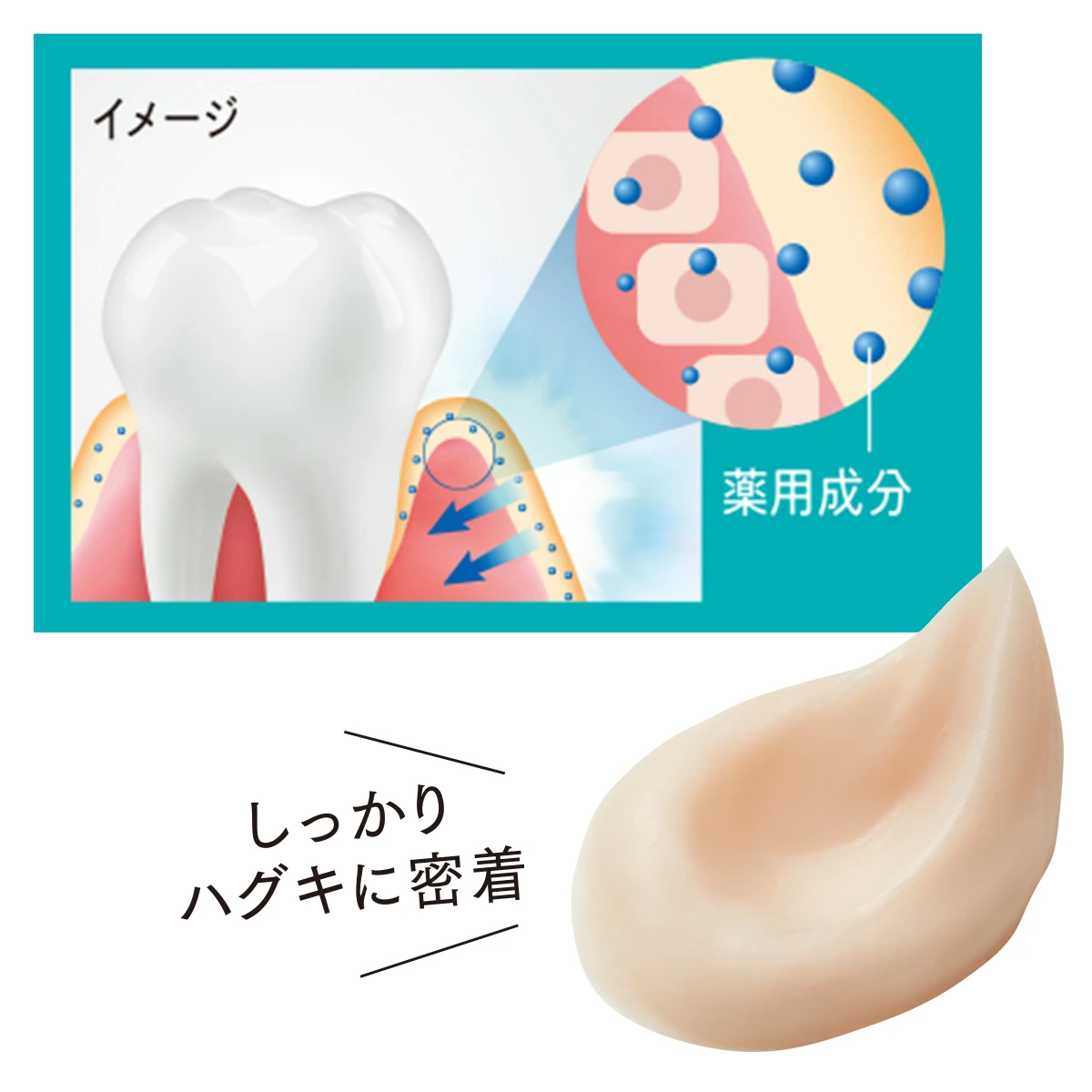 オーラルケアは、歯を磨くだけじゃない! ピュオーラと見つけよう神崎恵さんの「輝きの秘密」_7