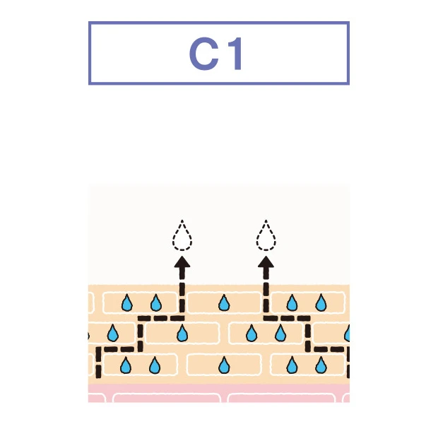 THE ANSWER ジアンサー 肌遺伝子タイプ C1