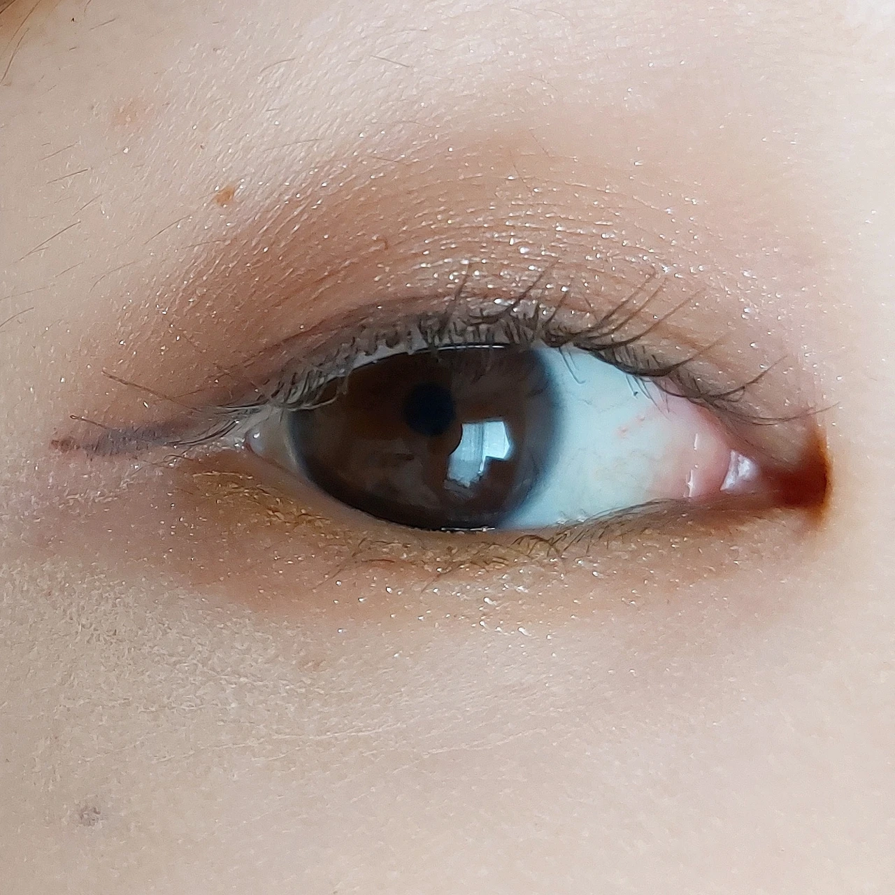 【10月9日発売】D-UPのマスカラ新色「マロングレージュ」で垢抜けた目元をゲットしよう♪_4_1