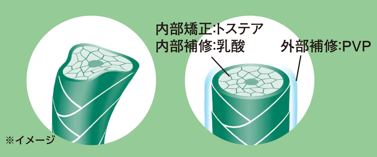 コアコルセット技術 ロート製薬