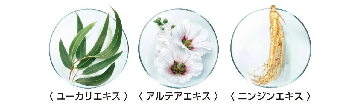 炭酸(※1)泡の新美容液、“美の恵み”がギュッと詰まったファーストステップで新たな美しさへ_4