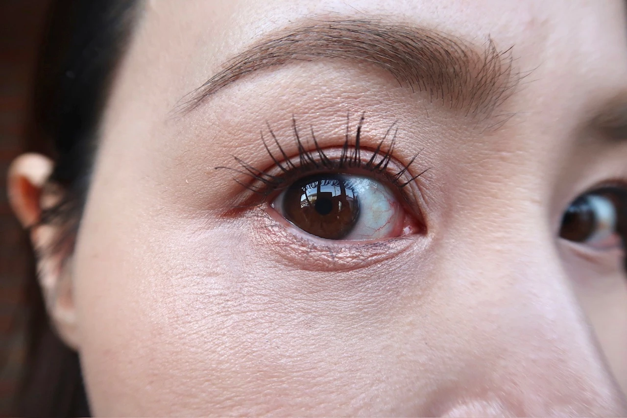 wakemake  ​ソフトシアーマルチパレット 01 コーラルヘルツ 色見 