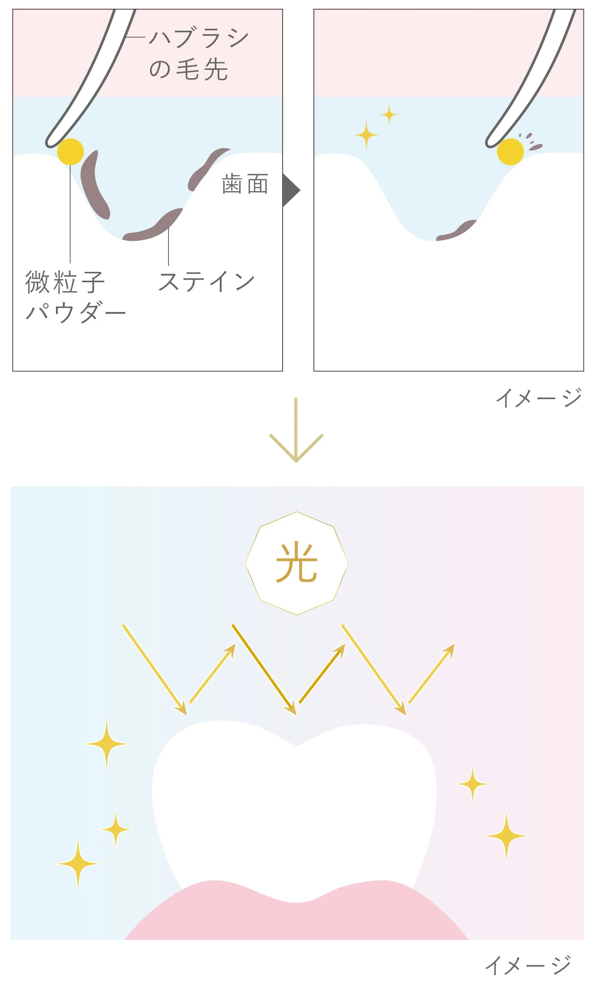 Lighteeハミガキ PREMIUM　美白ハミガキ　メカニズム