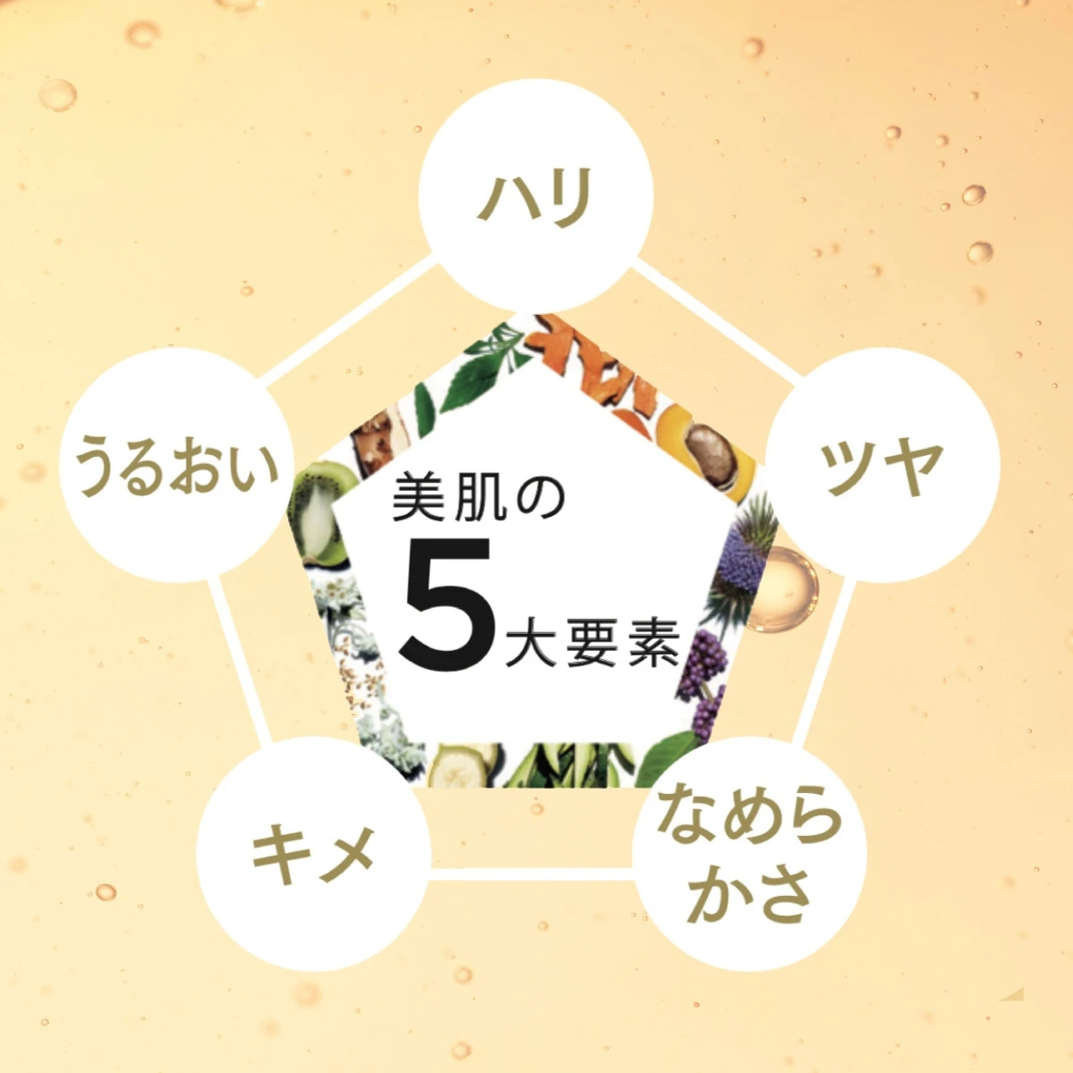 美肌の5大要素、ハリ・ツヤ・なめらかさ・うるおい・キメにアピール！ ダブル セーラム EXを大解剖_2