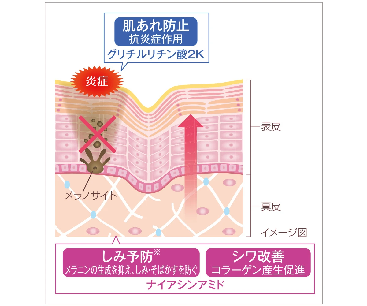 敏感肌こそ、目元のケアにこだわってほしい! 「ミノン アミノモイスト エイジングケアライン」から待望の薬用シワ改善アイクリームが登場_2