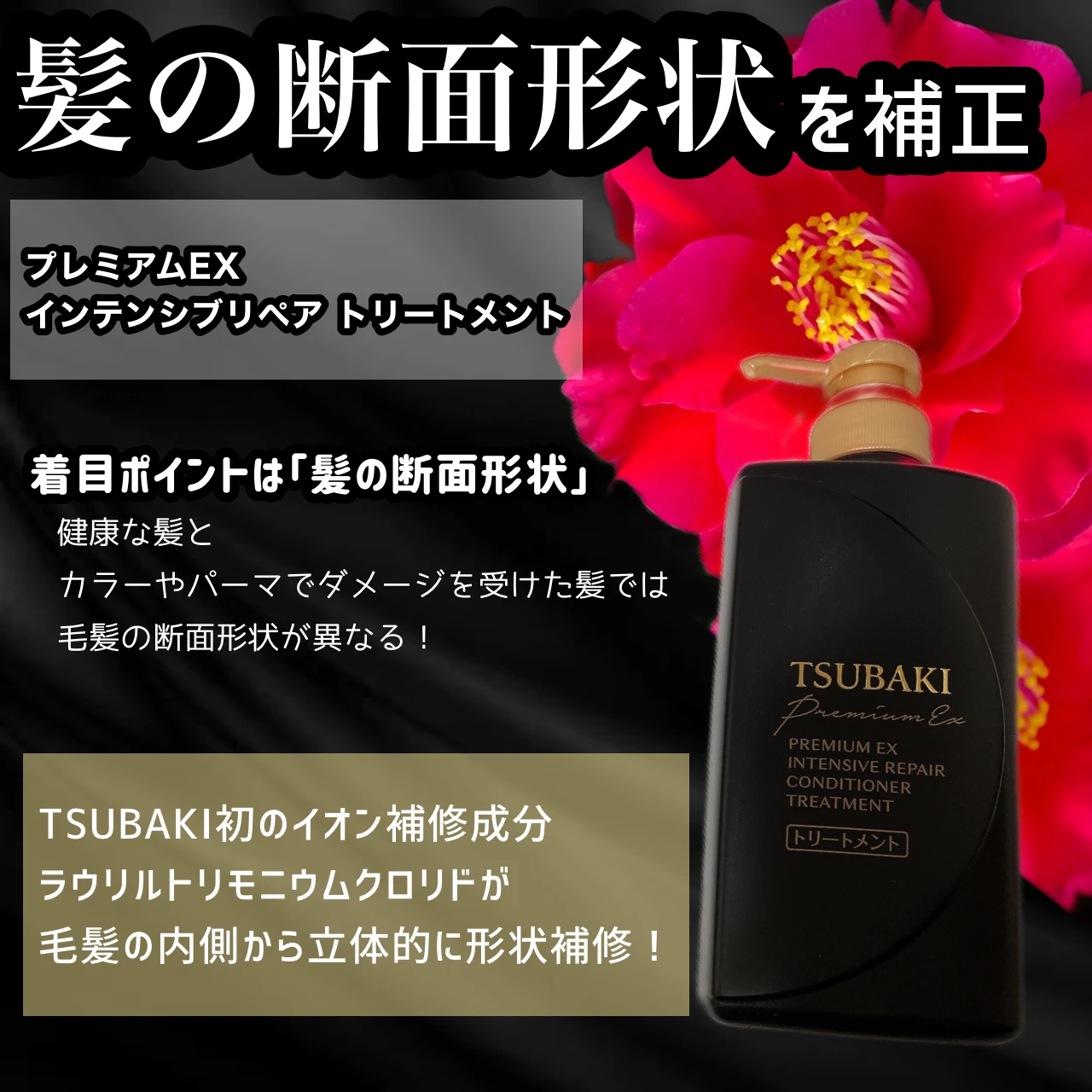 ダメージケアの歴史が変わる【黒TSUBAKI誕生】毛髪の断面形状に着目!新次元のダメージケアで艶髪へ_3