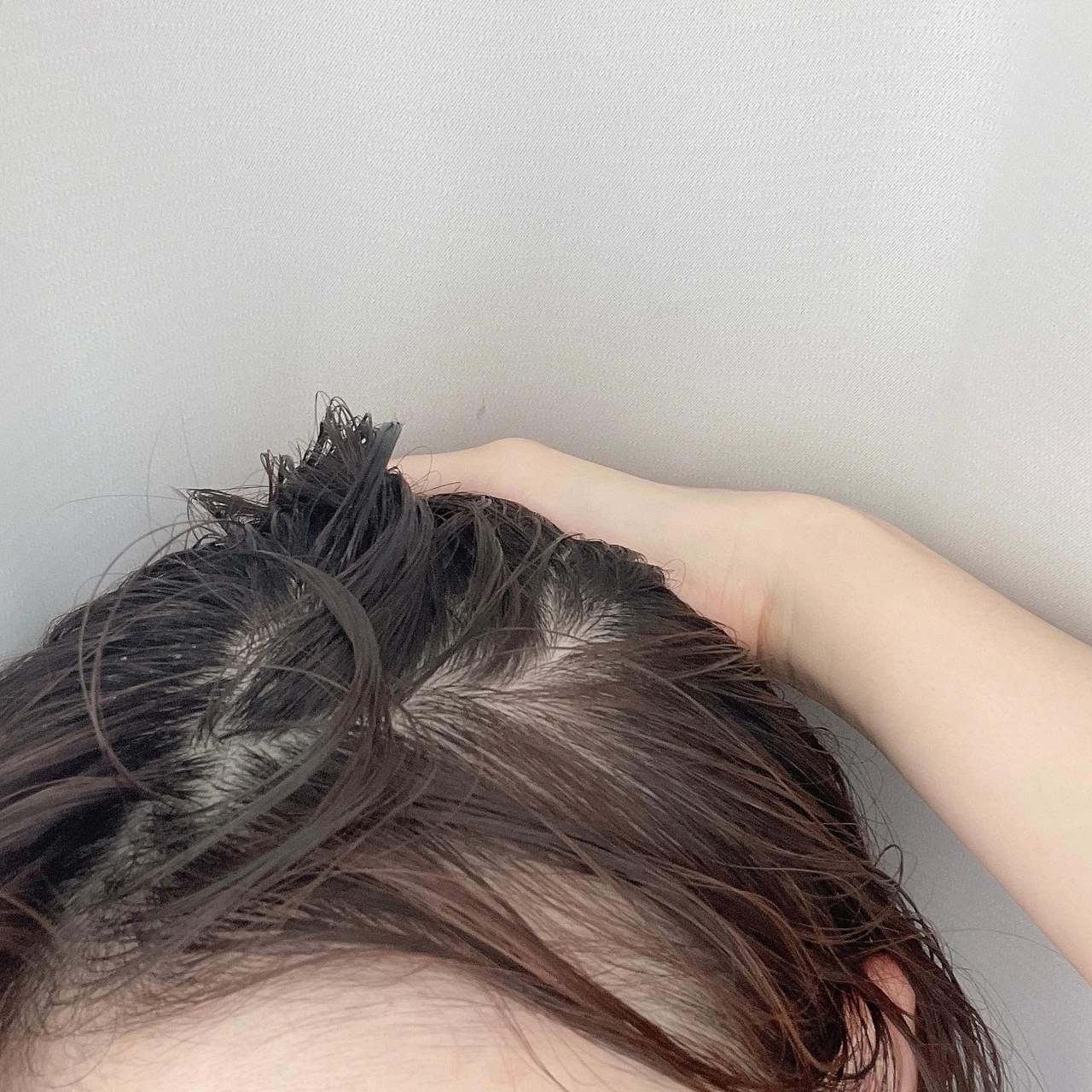 夏の乾燥する地肌にうるおいを