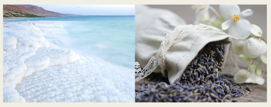 サボン ヘッドスクラブ リフレッシングの主要成分のイメージ