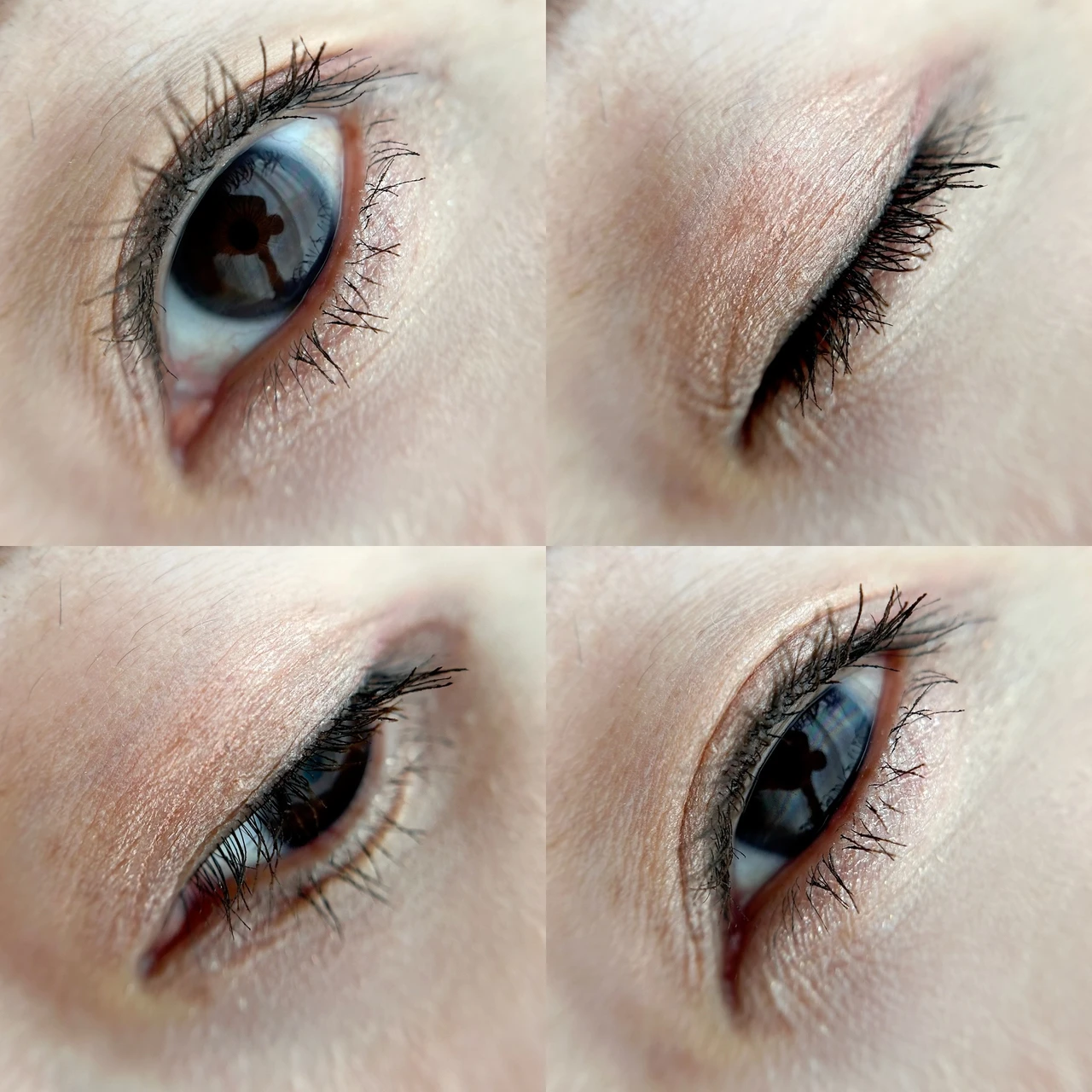 ウェイクメイク ソフトシアーマルチパレット 01 コーラルヘルツ