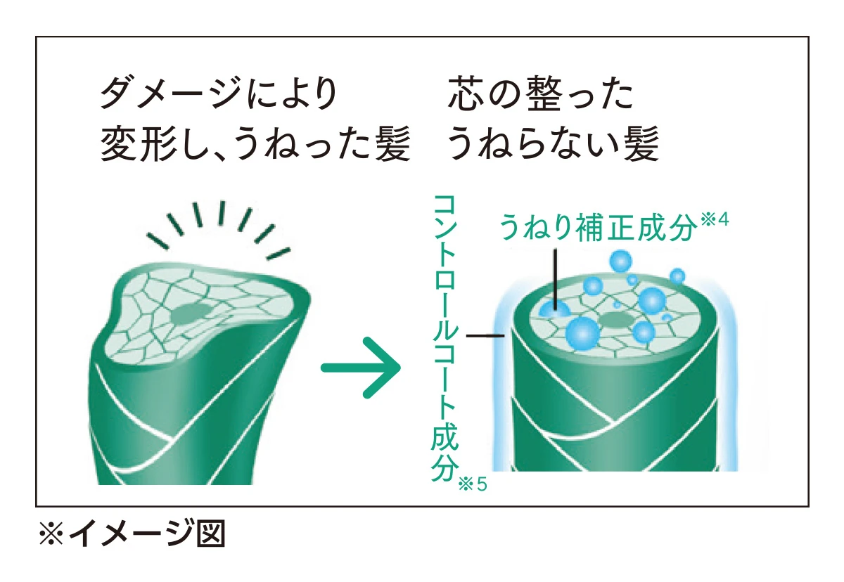 コアコルセット技術 イメージ図