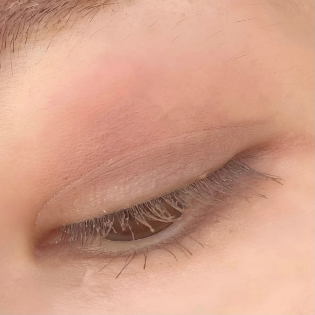 10/9発売！ディーアップの新色マスカラ『マロングレージュ』。外国人のような透明感ある目元が完成。_4_2