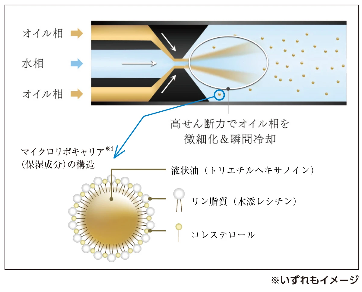 マイクロリポキャリアの説明