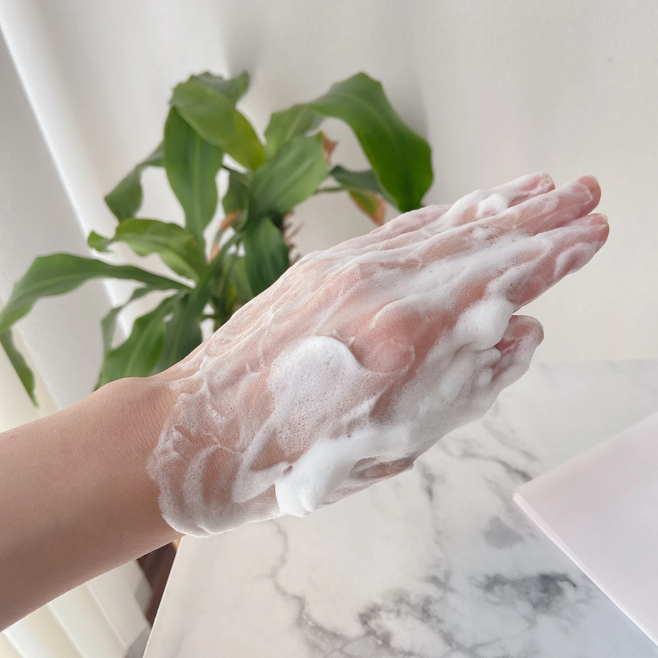 【“濃密弾力泡”でお肌もっちり🫧】自然のチカラで健やかなお肌に導く!アルソア「クィーンシルバー」🧼_3_2