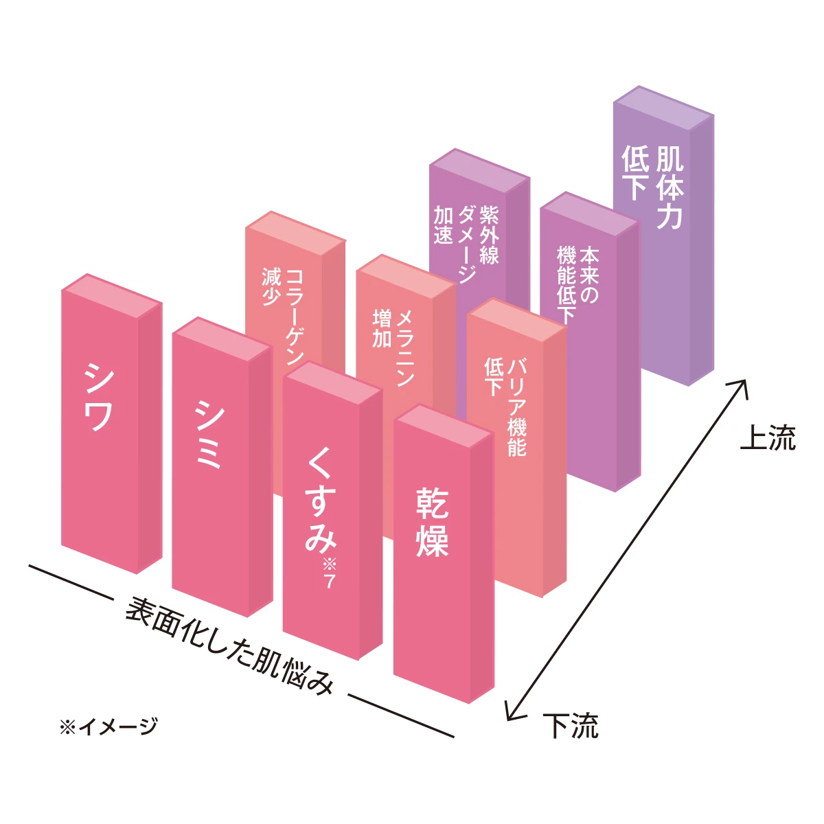 「肌体力の低下」「ゆらがない肌」を目指していく設計