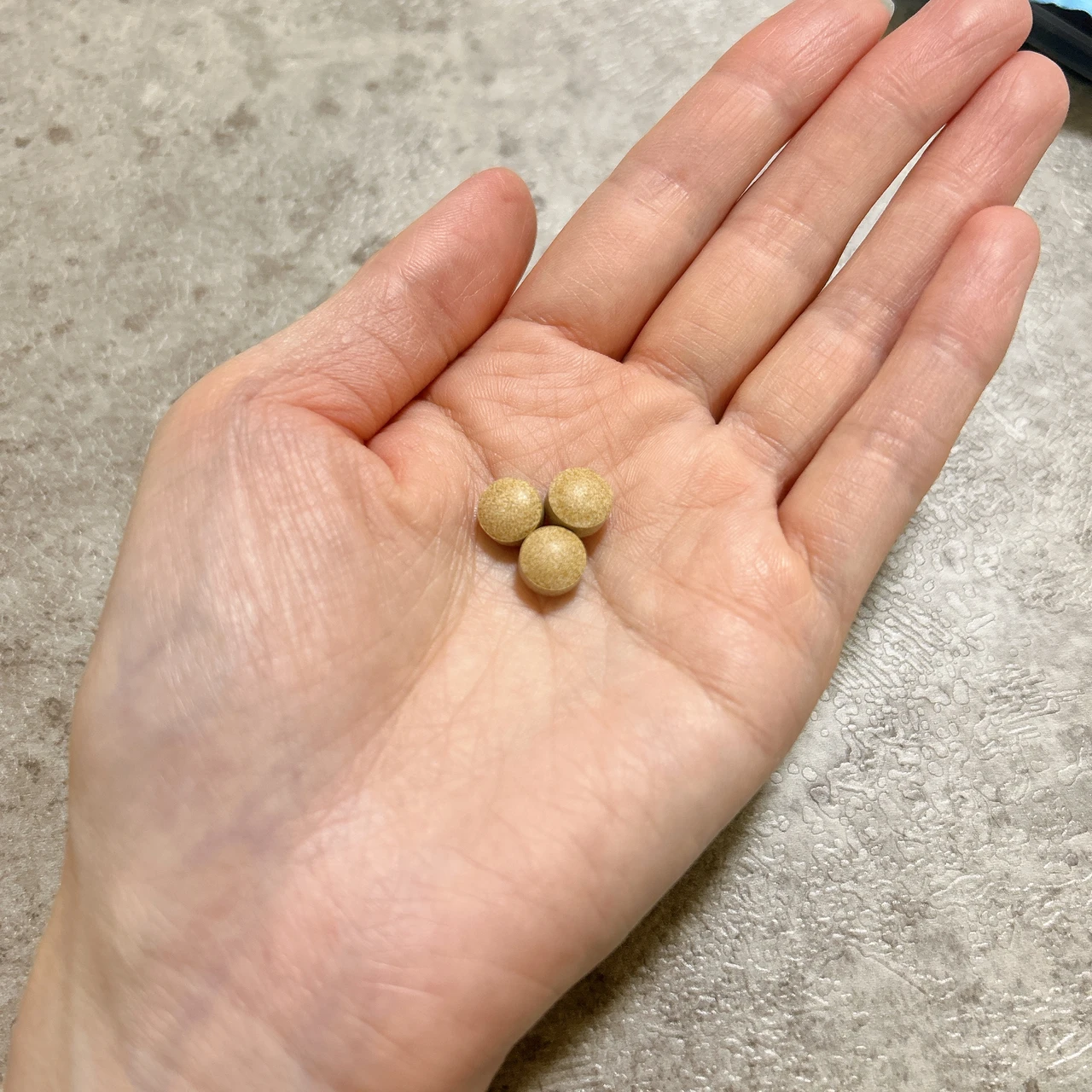 デイリーワークアウト 粒