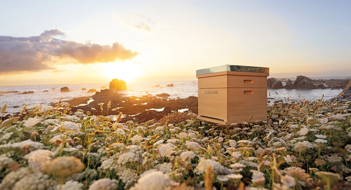 自然豊かな島々の黄金の恵み、稀少な4種のハニー