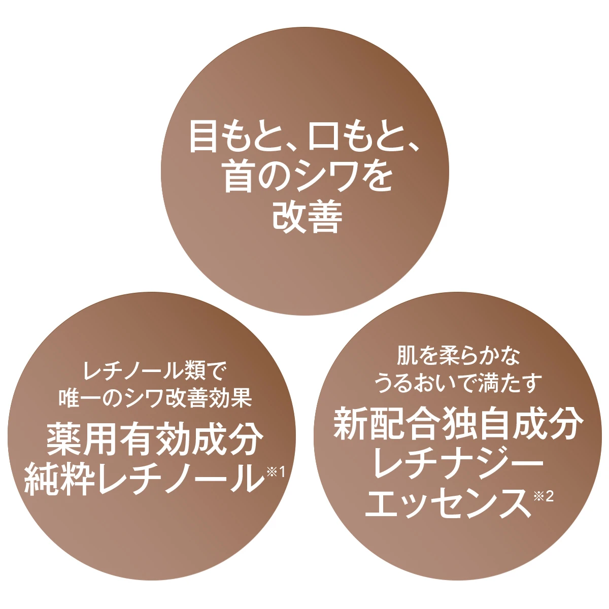 誕生から40年、コラーゲンサイエンスに着目してきたエリクシールの快進撃が止まらない!
_6