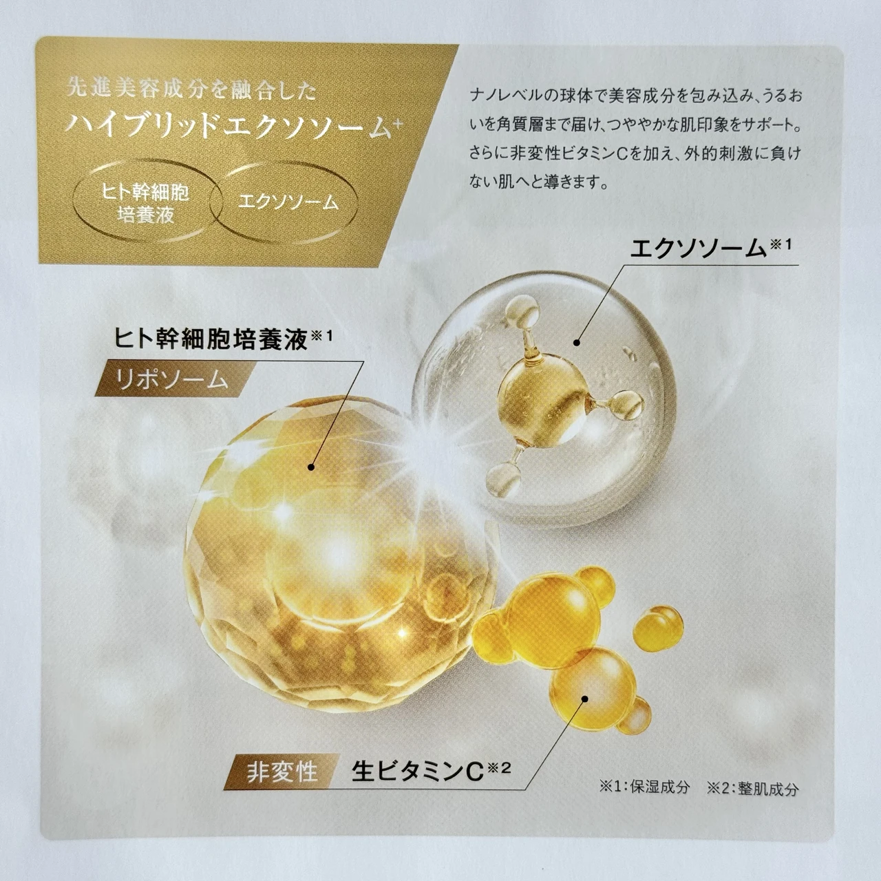 マムメディカル クリーム エイジングケア ヒト幹細胞 エクソソーム 森香澄 スキンケア