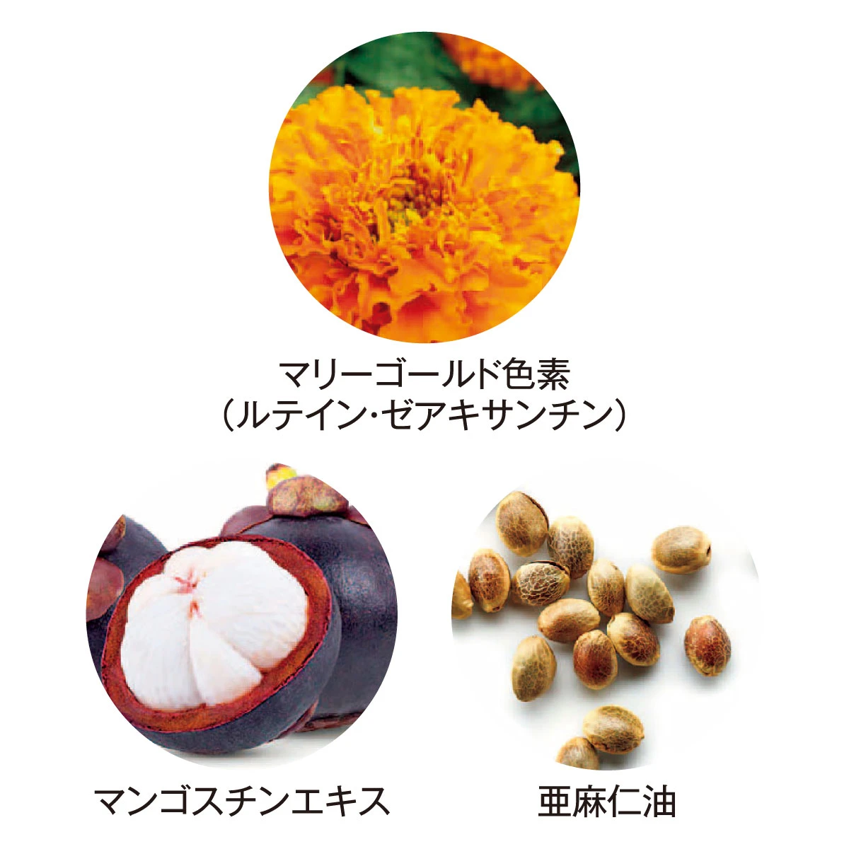 現代人に配慮したこだわりの成分