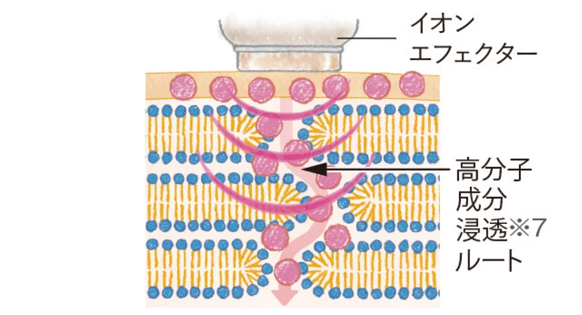 「高分子浸透※2技術」がスゴい!