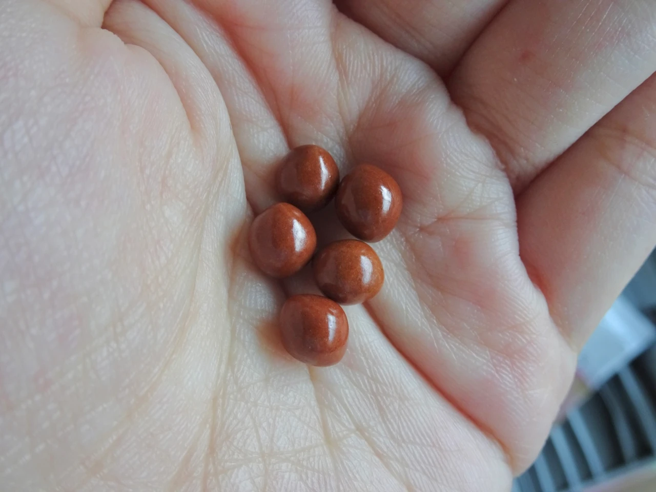 アルソアのウェビナーに参加しました。【肌・心・体の健康を大切に！】_10_2