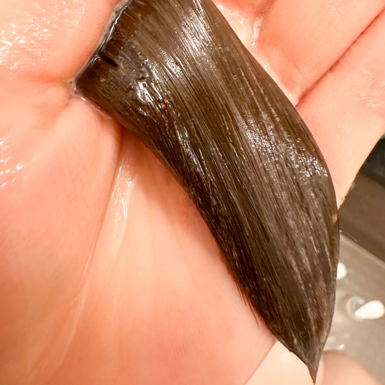 【＋ｔｍｒ（プラストゥモロー）】いい髪はタンパク質から、つくられる。ローンチ記念イベントレポート！_10_2