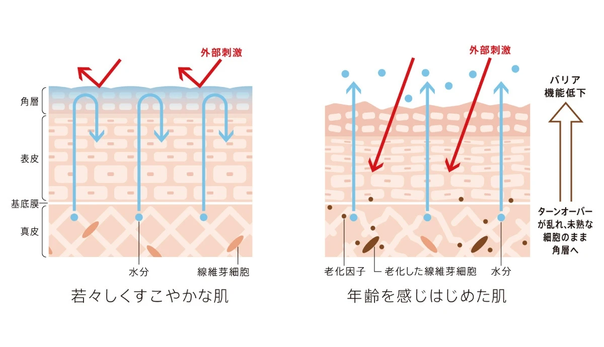 美容のプロや美容好きも始めてる! 敏感肌の新しいエイジングケア(※1)「iniks アドバンスバリア」_2